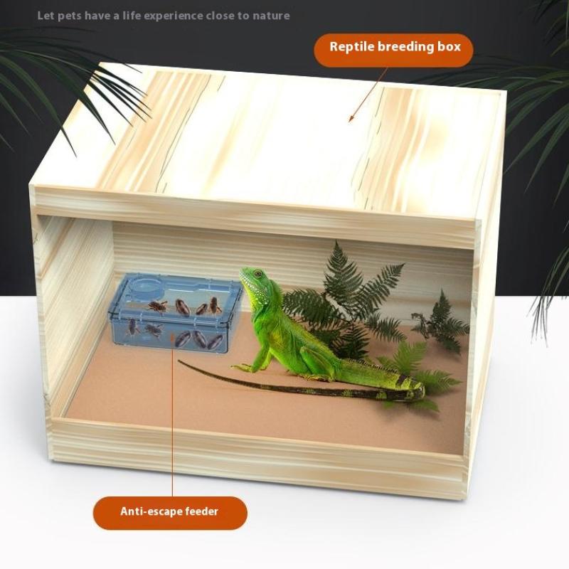 Pet Reptile Lizard Turtle Transparent Feeder Anti-Escape Food Bowl Worm Live Container Reptile Pet Bowls Feeder Pet Supplies