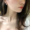 Women's Minimalist Luxurious Fashionable Earrings