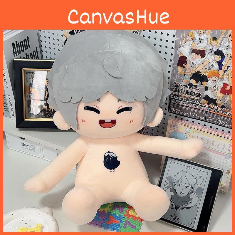 Haikyuu Koushi Sugawara 40cm Plush Toy Cute Cartoon Girl Birthday Doll Gift