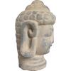 Hindu head