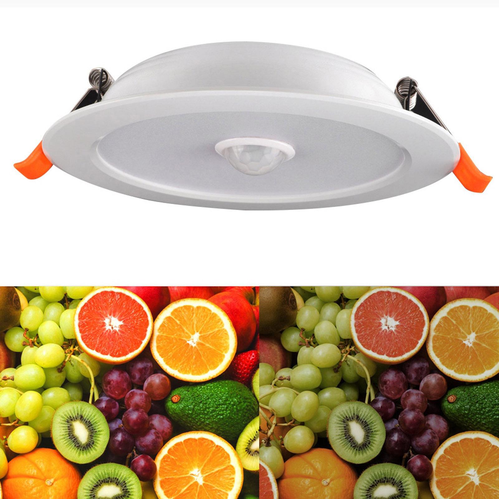 

12W AC85‑265V LED Ceiling Light Downlight Human Body Sensor Recessed Lamp for Home Indoor Type 2