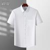 Men's Anti-Wrinkle Easy-Care Business Shirt