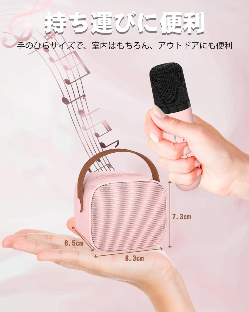 Verkstar Karaoke 2 Bluetooth Wireless PA Stereo Home Karaoke Small Home Mini Kompatibel mit Japanisch Bedienungsanleitung Inklusive Mikrofon,