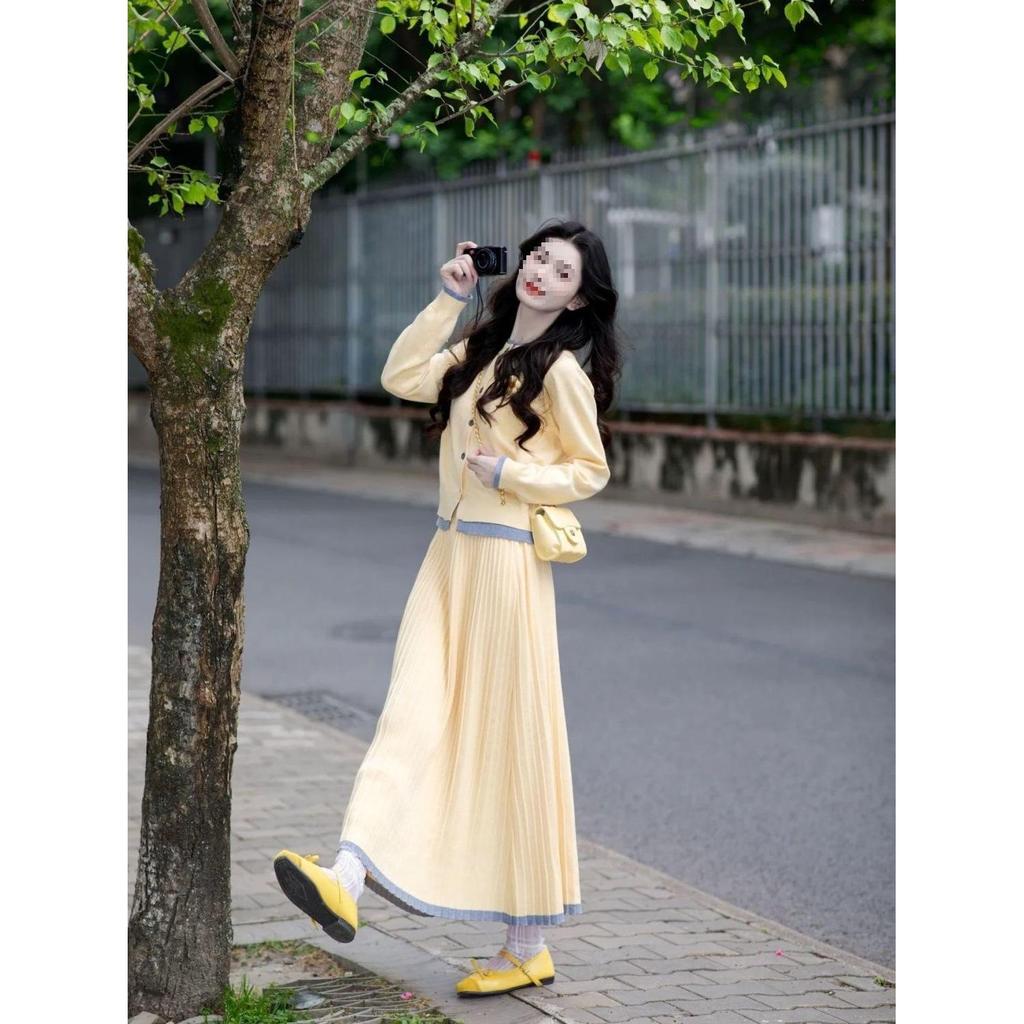 Women's Spring Knit Cardigan & Pleated Skirt Elegant Two-Piece Set