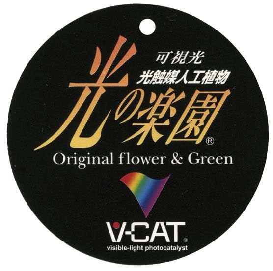 Artificial Flowers Flower Photocatalyst Fake Interior Plants Wrapping "Art Arrangement" (Air Purifying) (Ribbon Phalaenopsis/Gradient)