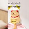 Elderly Reminder Device: Smart Voice Alerts for Keys, Gas, Doors & Windows