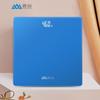 Xiangshan Electronic Body Scale (CN version)