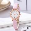 Niche Women's Simple Versatile Quartz Watch with Small Exquisite Dial – Casual Japanese Korean Style