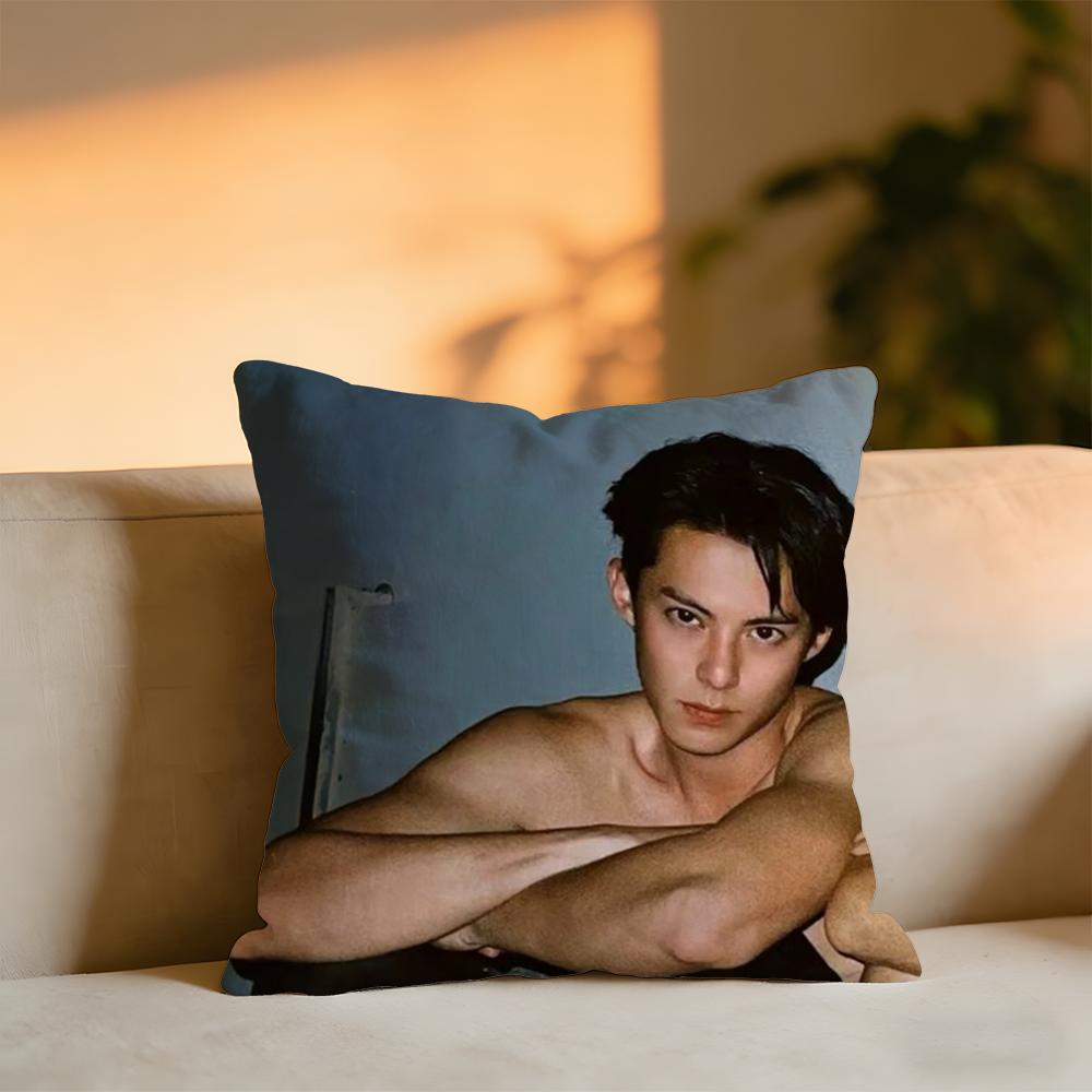 Dylan Wang Chinese Actor Cushion Cover Cozy Velvet Throw PillowSoft Warm Cushion For Sofa Bed