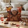 Anime Samurai Champloo Cushion Cover Anti-dustmite Pillowcase Invisible Zipper Silky Short Plush Sofa Cushion Cover