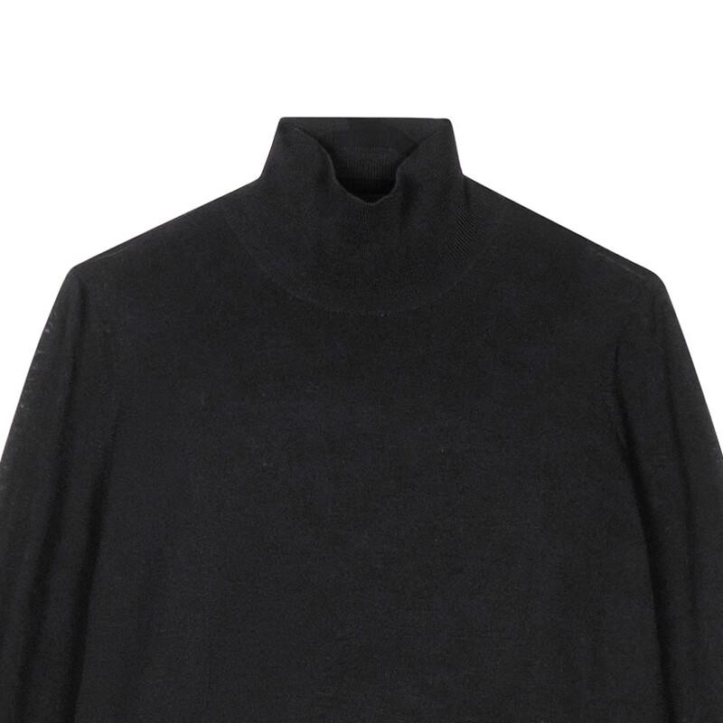 LESS 2024 Autumn Merino Wool Turtleneck Sweater