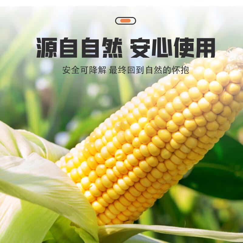 Eco-friendly Disposable Round Food Container