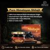 Resina di Shilajit Ayuugain 30g Originale | Puro Shilajit Himalayano Grado Oro | Shilajeet Ayurvedico con Acido Fulvico e Oltre 80 Minerali Traccia | Energia, S