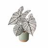 Rotatable Artificial Plant Fridge Stickers Magnets Waterproof Mini Plant Fridge Magnet  Kitchen