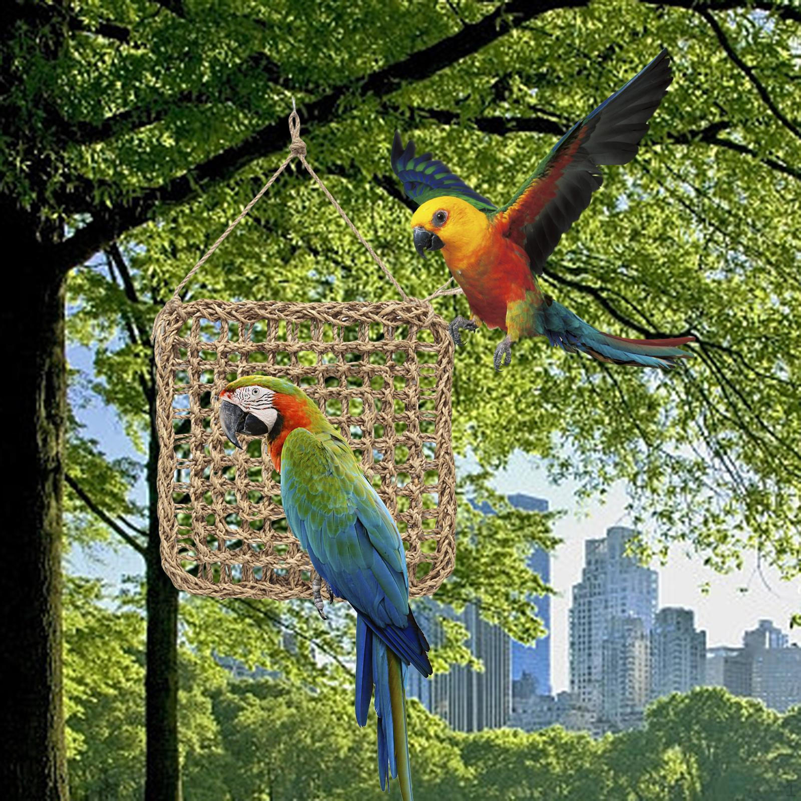 

Climbing Ladder Hammock Swing Cage Bird Net L