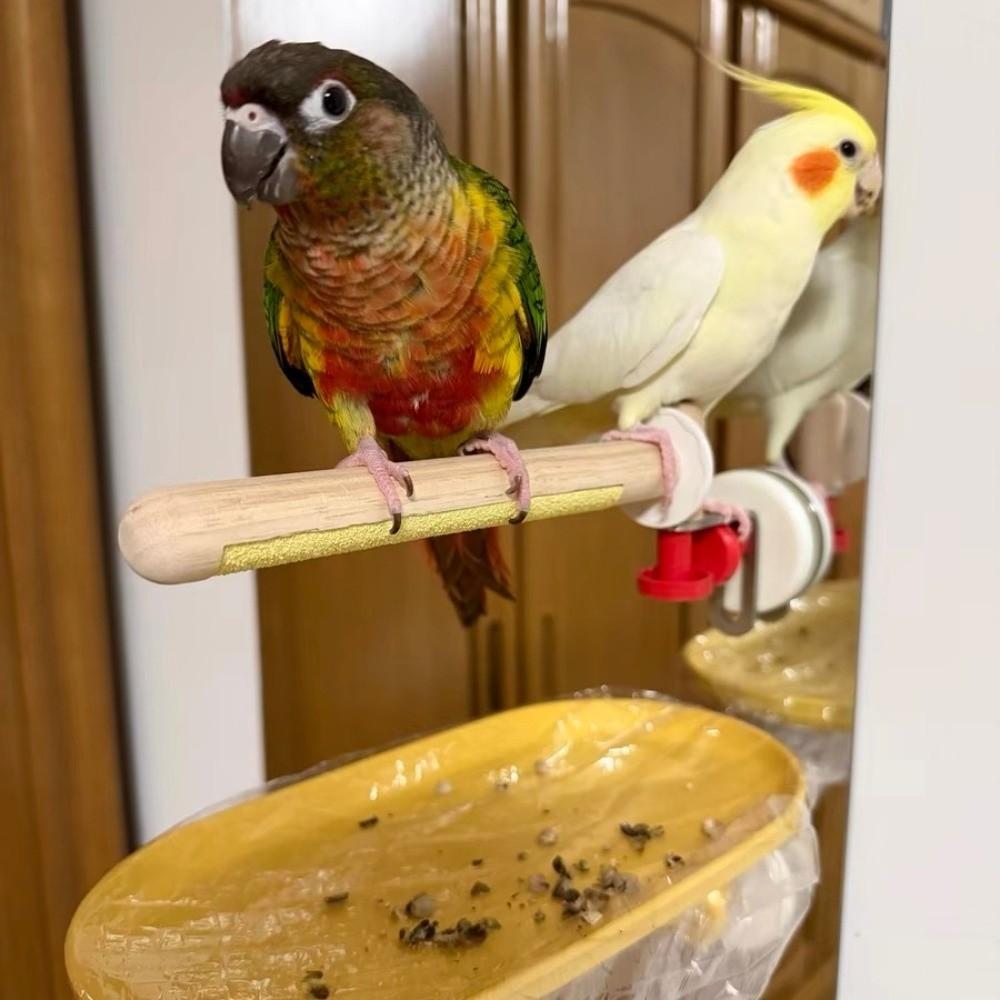 DIY Suction Cup Bird Climbing Perch Comfortable Grip Grinding Claws Pole  Tile Wall