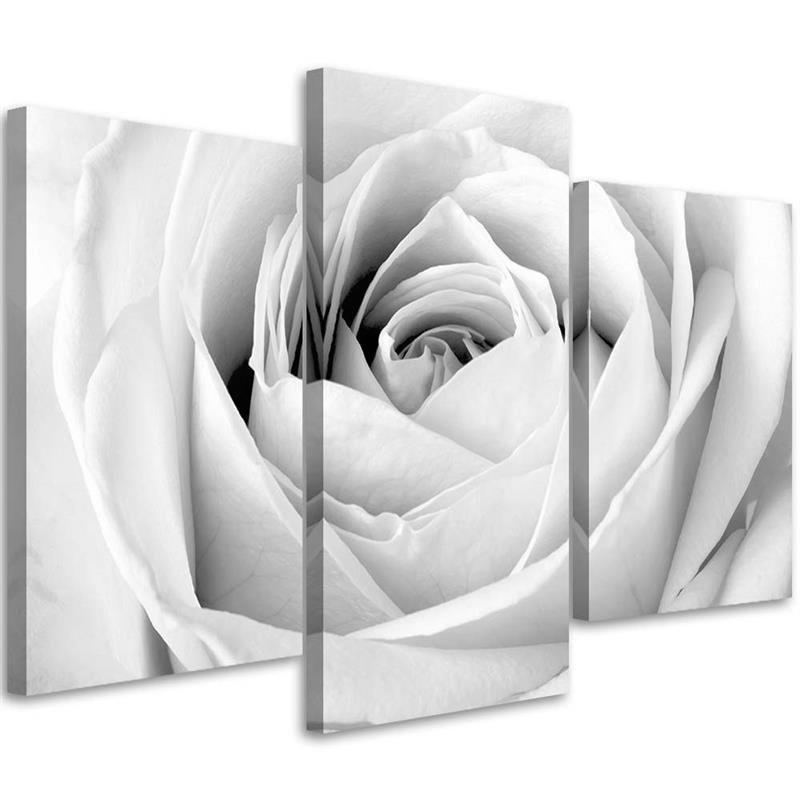 Three piece picture canvas print White Rose Flowers