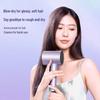 Midea Fast Dry Ionic Hair Dryer CN plug (adapter included)