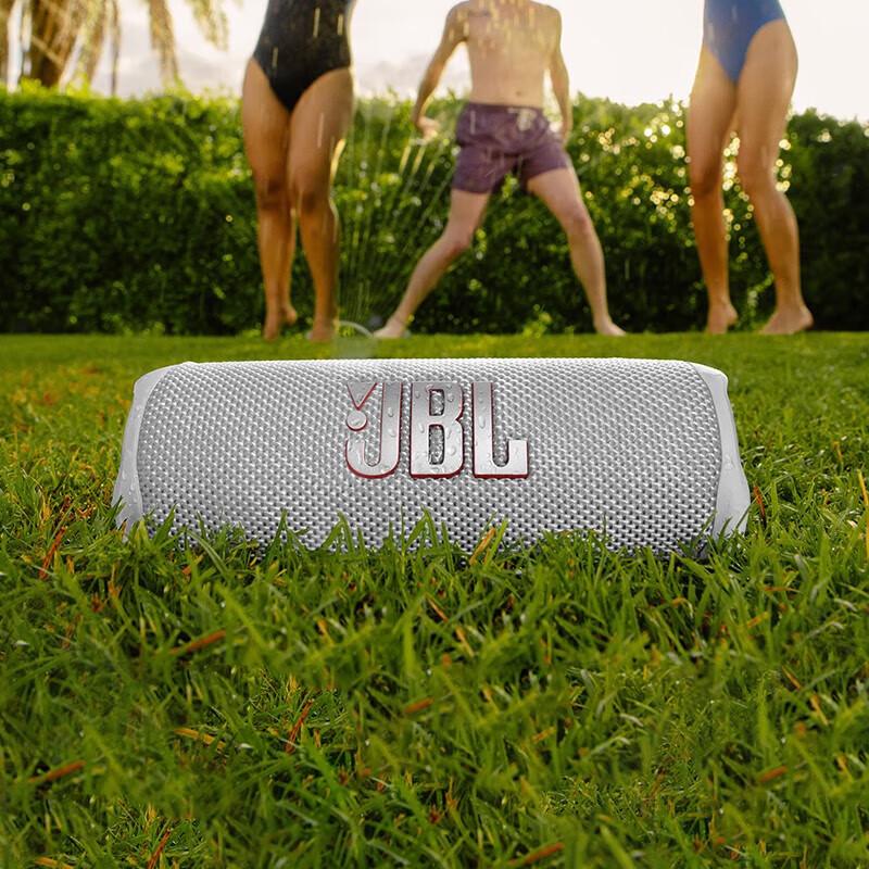 JBL FLIP 6 Portable Bluetooth Speaker