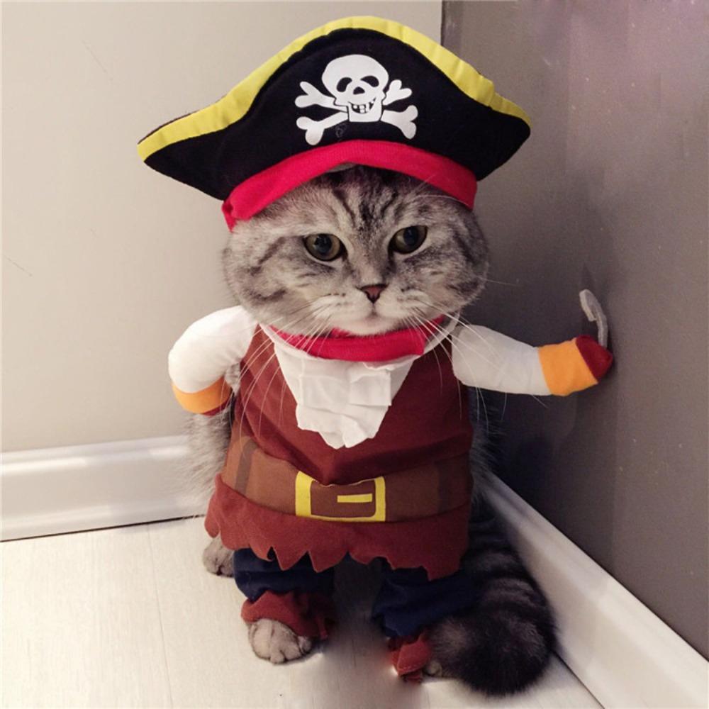 Funny Dog Clothes Cat Funny Bichon Puppy Puppy Small Dog Teddy Pirate Transformation Pet Clothing S