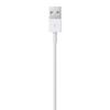 Apple Lightning to USB cable (1 m)