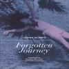 Forgotten Journey by Silvina Ocampo Paperback Book 9780872867727
