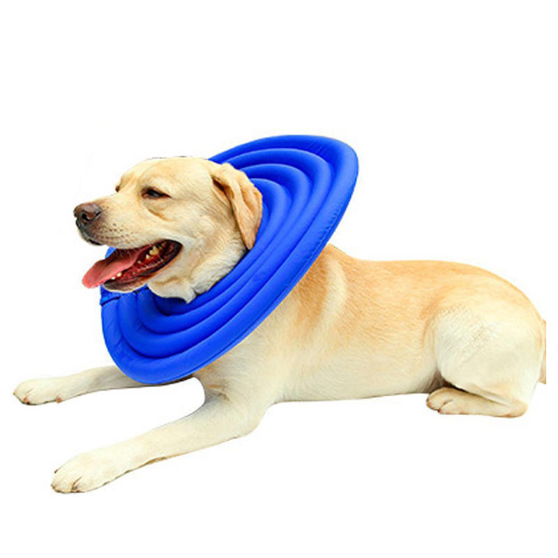 comfortable e collar