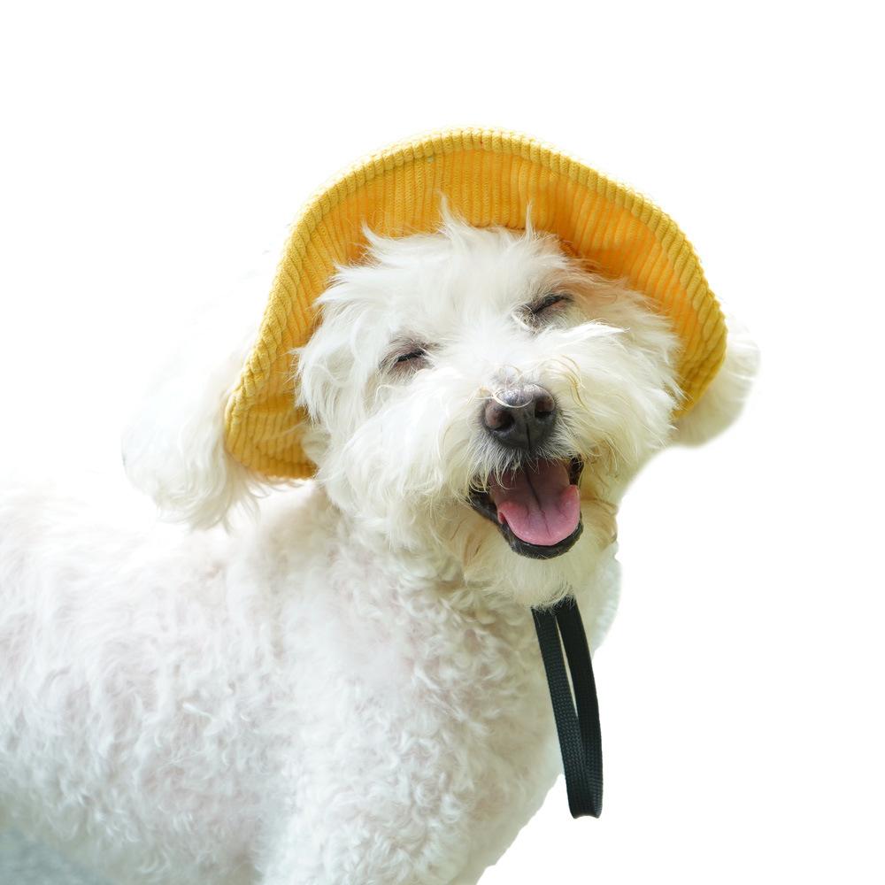 Shang Pet Bucket Hat Open Ears Sunshade Dog Hat Small Dog Corgi Teddy Sunscreen Cowboy Hat