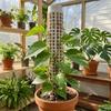 6PCS Interlocking Moss Pole Plastic Vine Fixed Support Frame Plants Growth Stand  Indoor Plants