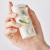 beauty of joseon Matte sun stick : Mugwort + Camelia