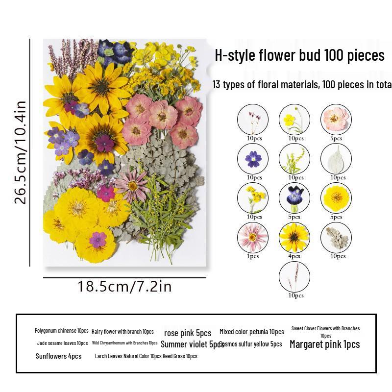 DIY Dried Flower Specimen Sticker Set for Kids: Handmade Pressed Flower Frames & Resin Bookmark Craft Kit