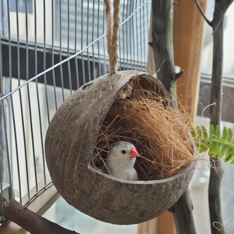 Small Animals House Pet Cage Habitats Decor Coconut Bird Nest Hut with Ladder for Parrots Parakeet Conures Cockatiel