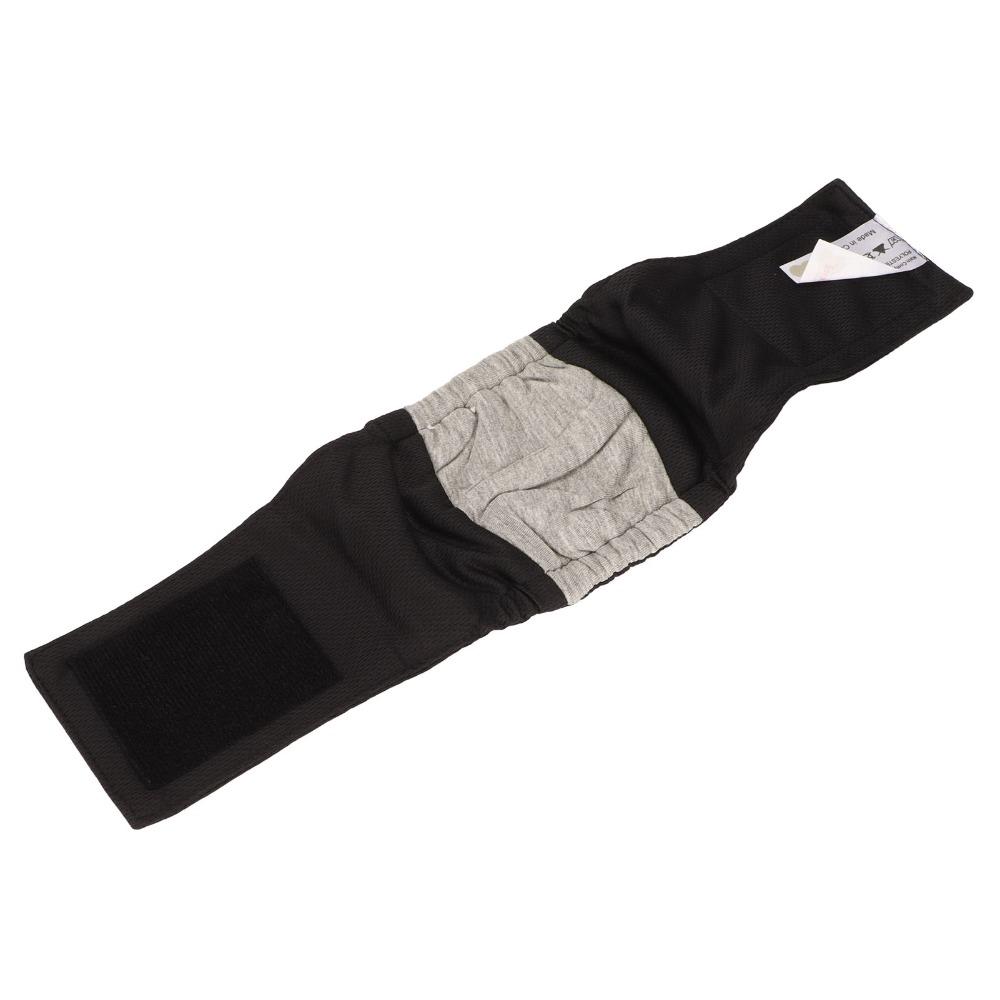 Graphene Fabric Male Dog Underwear High Absorb Layer Leakproof Pet Wrap Urine Containment