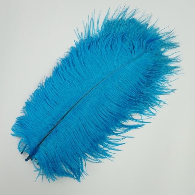 10Pcs/Lot New Colored Ostrich Feathers for Crafts White Black Feather Decor Table Centerpieces Jewelry Handicrafts Decoration