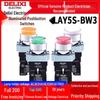 DELIXI LAY5-BW3 Red/Green/Yellow Self-Reset Metal Head Illuminated Button Switch (220V/380V/24V)