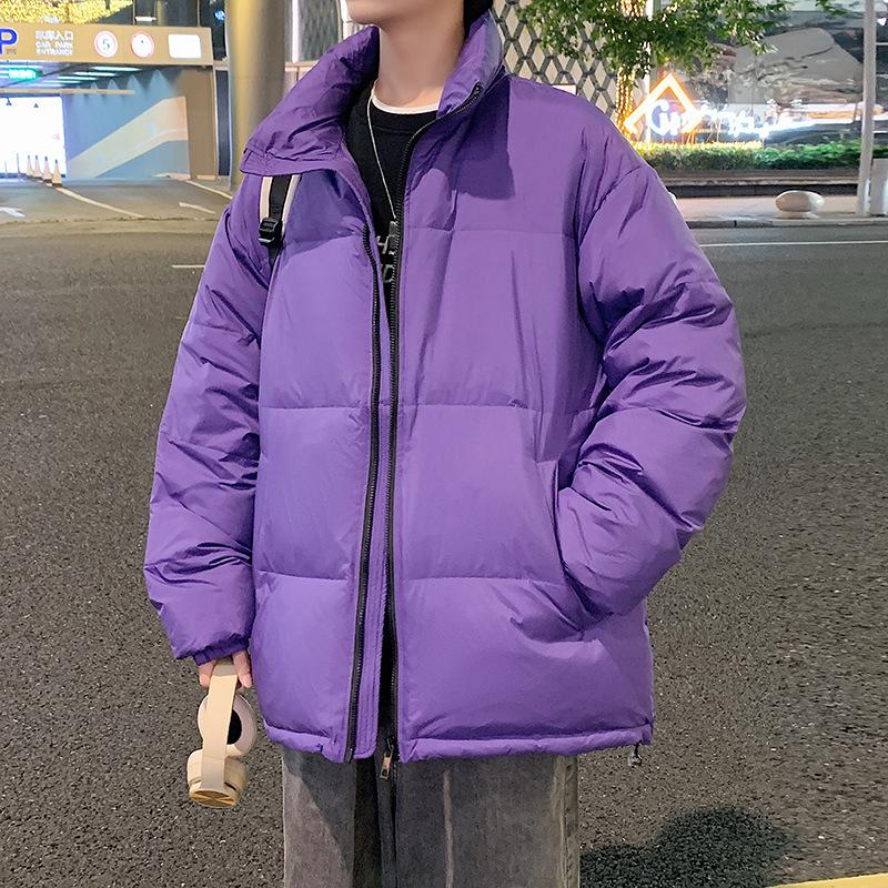 Winter Short White Down Jacket Men's New Thickened Warm Stand-up Collar Winter Coat