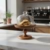 Wood Base Dessert Dome Easy To Clean Wooden Cake Stand Transparent Pedestal Plate for