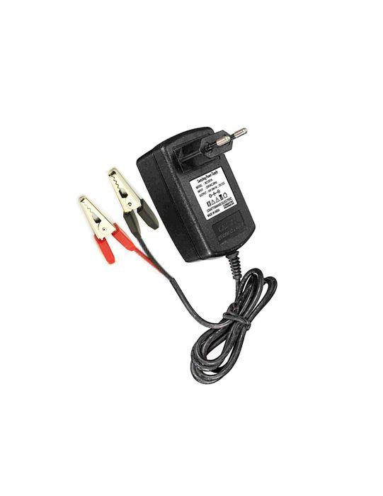 Chargeur De Batterie 12v 4ah 4131996esp Pastormatic