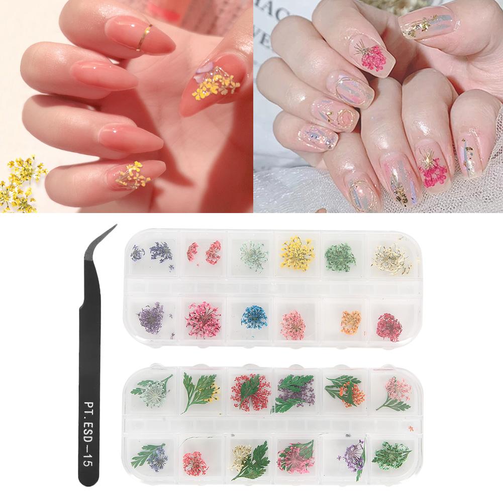 Dried Flower Nail Decoration Manicure Crafts DIY Nail Art Decoration Accessories