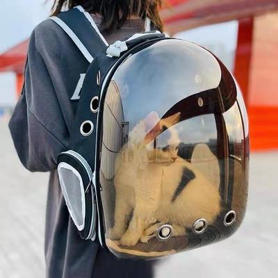 Katzentasche, Katzentragetasche, Outdoor, Haustier-Umhängetasche, Träger, Rucksack, atmungsaktiv, tragbar, für Reisen, transparente Tasche für kleine Hunde, Katze