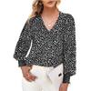 Loose Printed Long Sleeve V-neck Chiffon Shirt for Women