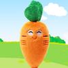 Puppy Dog Plush Squeaky Toy Dogs Chew Toy Cute Funny Bone Carrot Pet Toys Aggressive Chewers Cat Pet Products Puppy Accessories