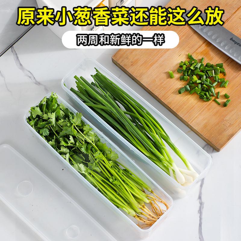 Crisper Food Grade Scallion Cilantro Coriander Whole Root Ginger Garlic Noodles Egg Storage Finishing Box Refrigerator