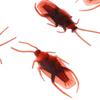 Special Model Funny Toys  Halloween Fake Roaches Joke Cockroach Shape Toy Lifelike Blackbeetle