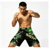 MMA Shorts Men Women Training Fighting Gym Boxing Muay Thai BJJ Grappling Sport Athletic Workout Pants