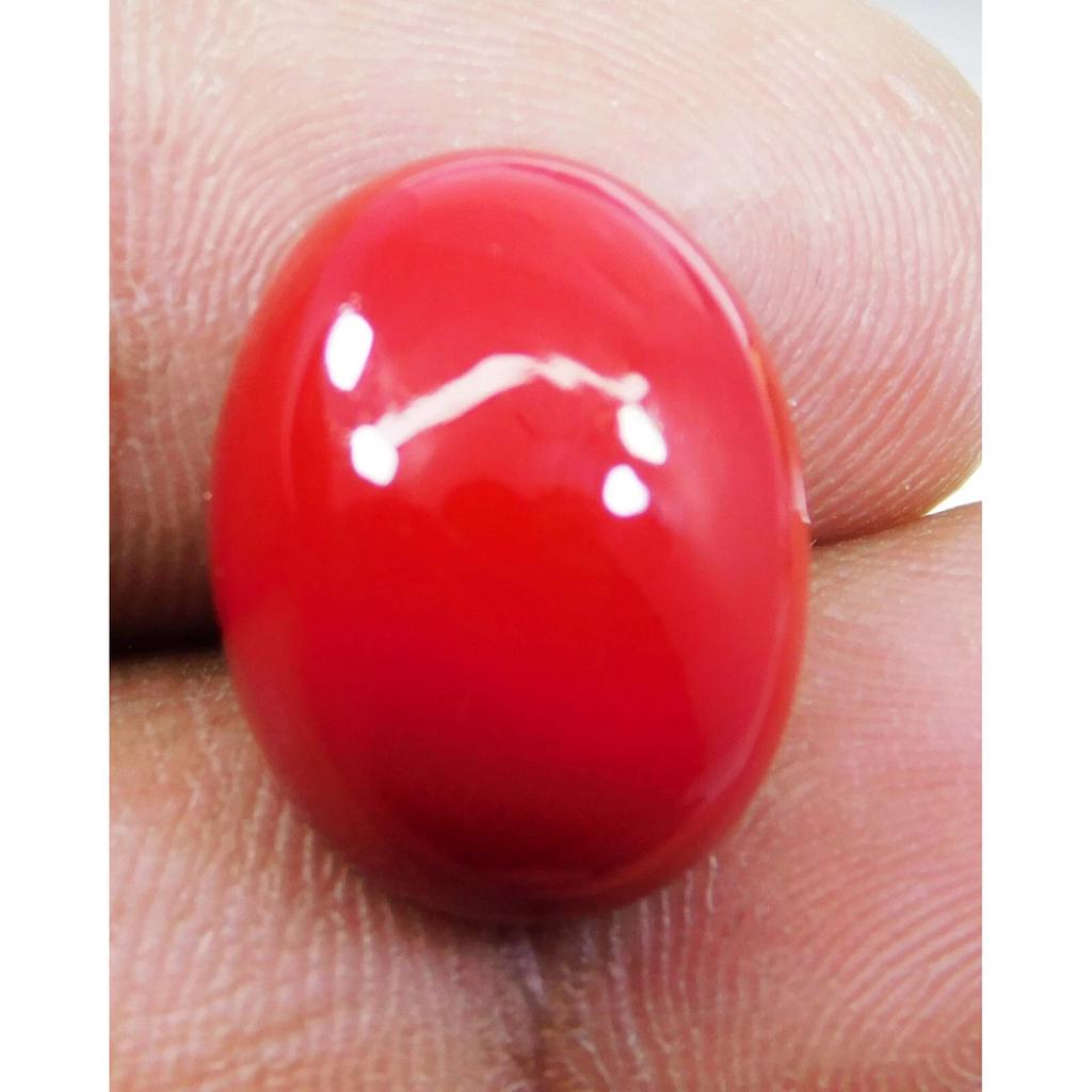 AAA+ Natural Red Coral 22.15 CT Oval Cabochon Cut Italian Loose Gemstone