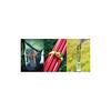Strap Gear Outdoor Camping Secure Silicone Strap Belt, Blue, 12-inch [Official Japanese Product] 50127