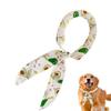 Îmbrăcăminte și încălțăminte – Accesorii pentru câini