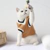 College-style Fleece Clothing for Autumn Winter Cat Dog Knit Vests and Jackets Excellent for Keeping Warm Preventing Hair Loss