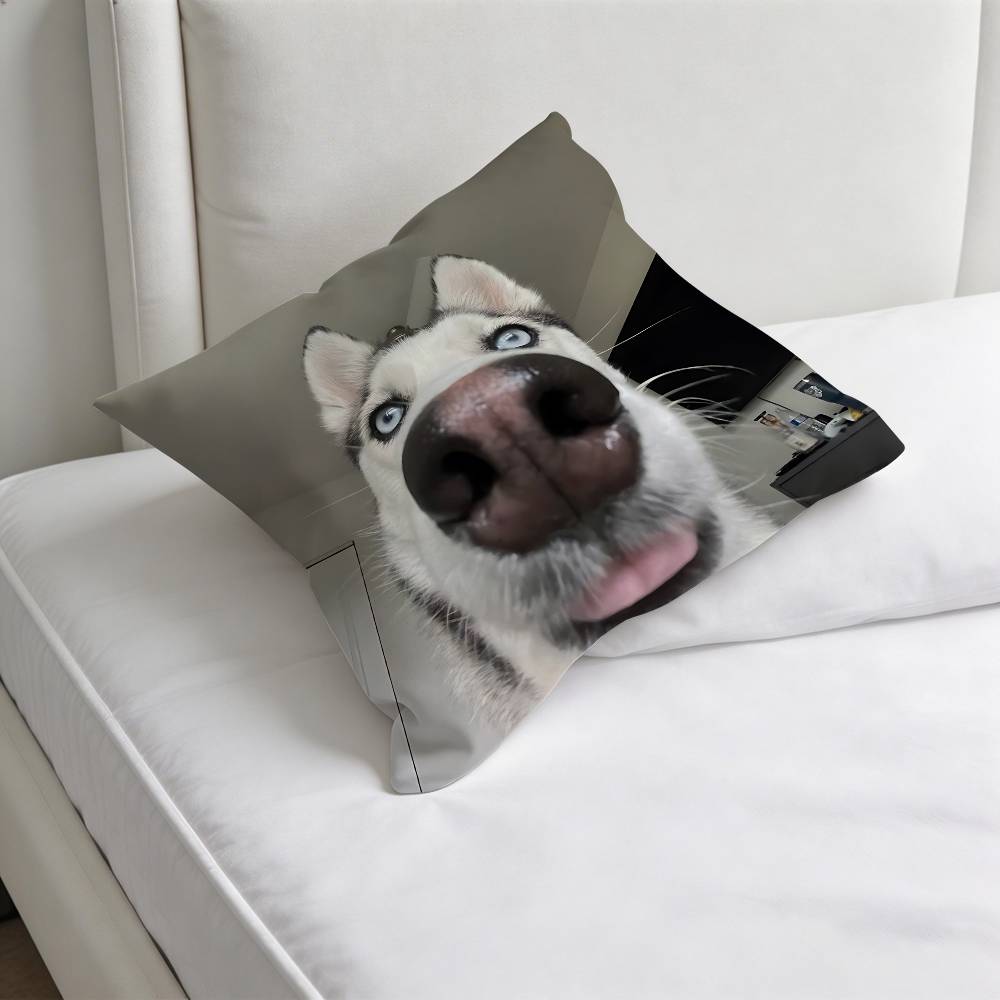 Husky PPuppy Dog Decorative Square Pillow Cover Modern Cushion Case for Living Room Bedroom